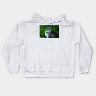 Bethesda cat Kids Hoodie